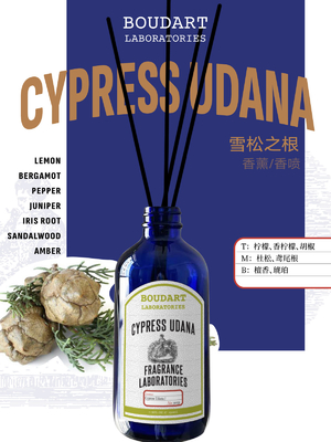 CYPRESS UDANA रीड डिफ्यूज़र थोक OEM परफ्यूम होम डेकोरेशन प्राकृतिक ग्लास बोतल आवश्यक तेल सुगंध रतन स्टिक्स